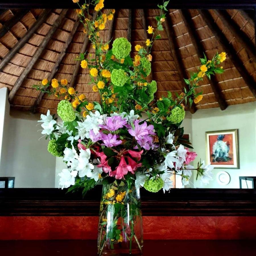 Waterford Manor Bed & Breakfast Rosetta Bagian luar foto