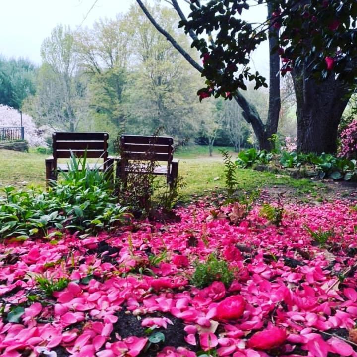 Waterford Manor Bed & Breakfast Rosetta Bagian luar foto