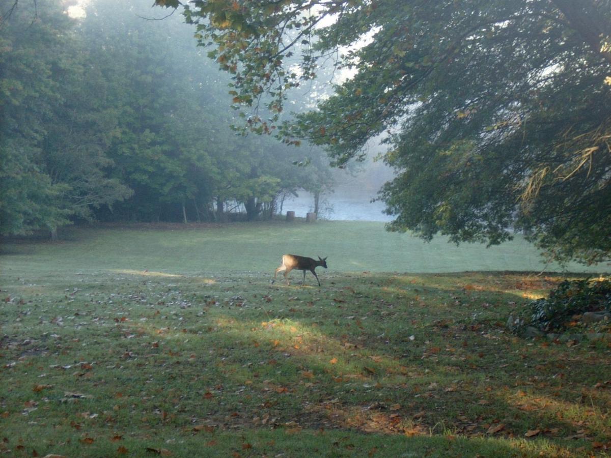 Waterford Manor Bed & Breakfast Rosetta Bagian luar foto